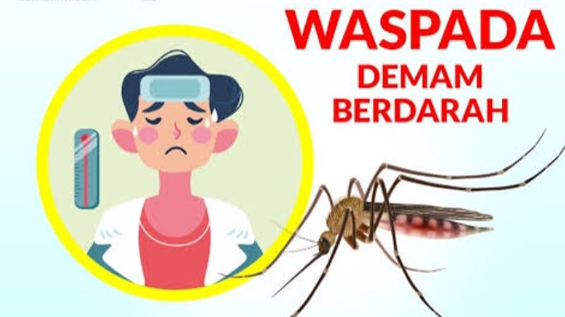 Demam Berdarah, Waspada Saat Musim Hujan Tiba – PAFI Tembilahan